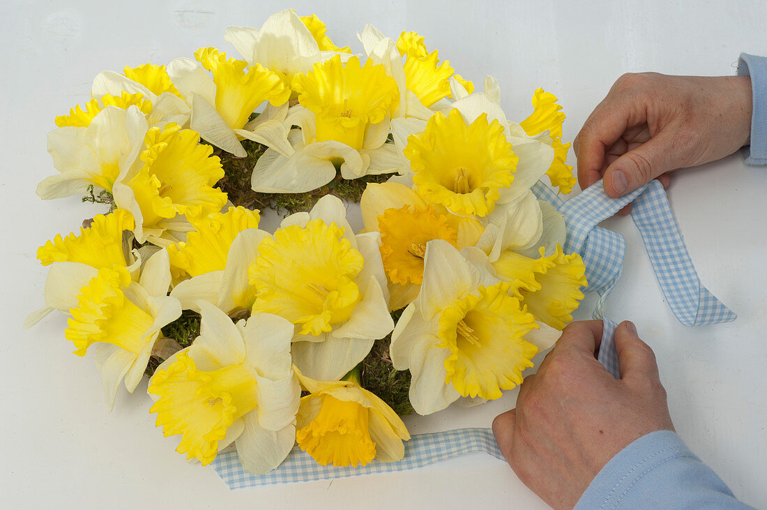 Daffodil wreath (4/5)