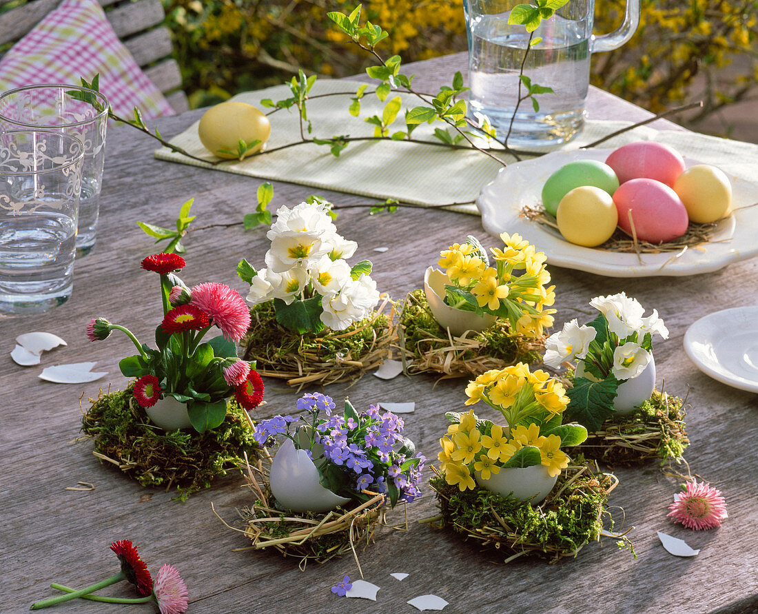 Eggshells as vases on moss