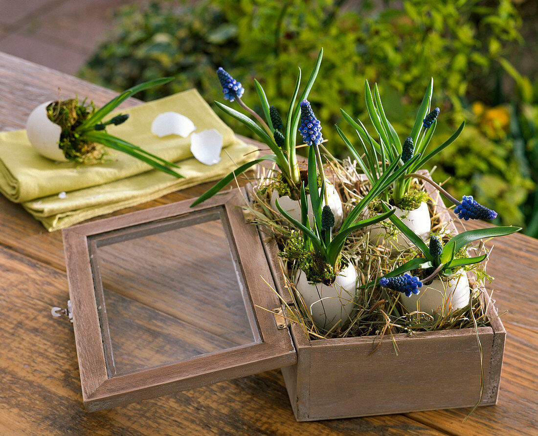 Old key box designed as easter nest with hay, duck eggs