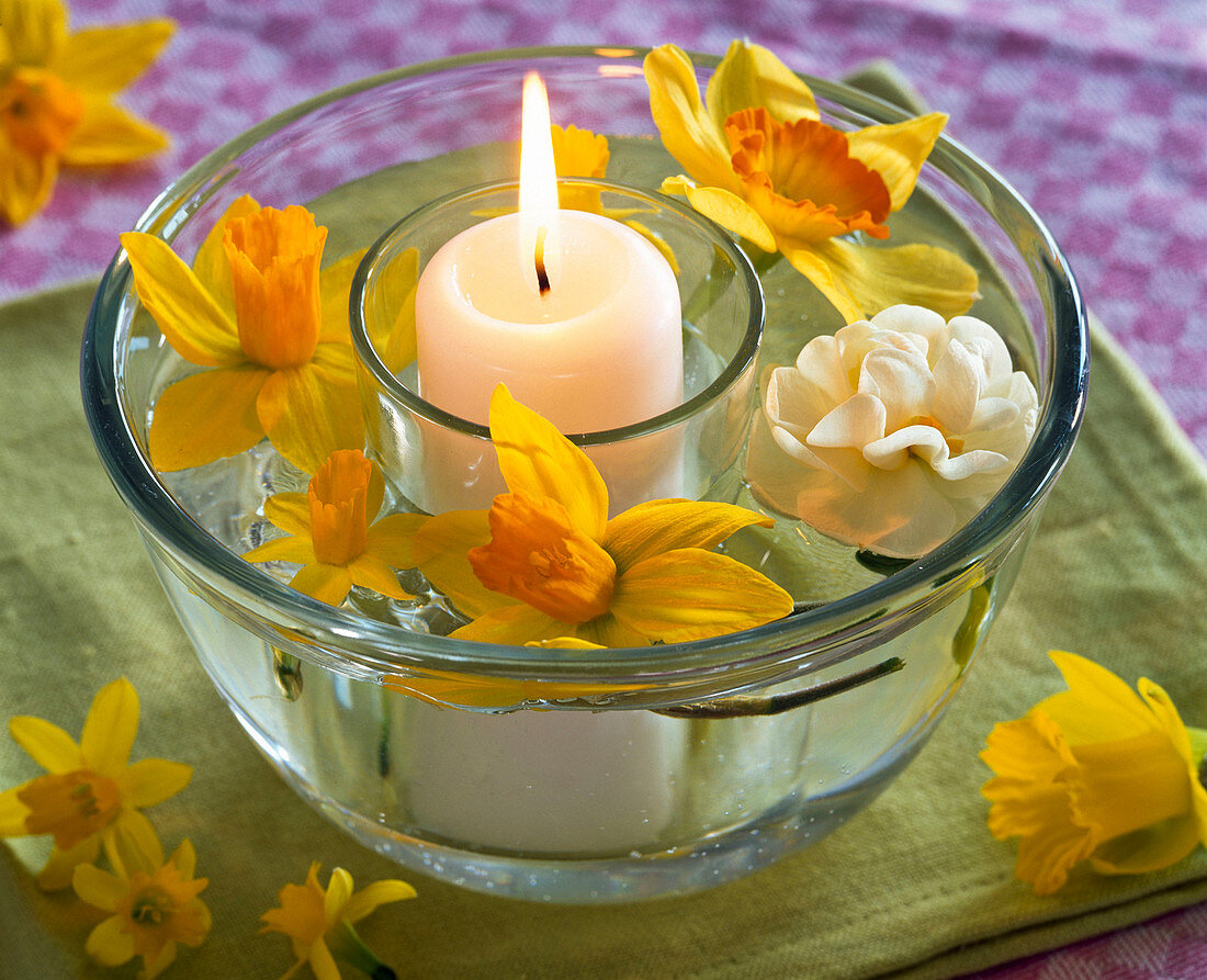 Glass lantern placed in a dish with water and Narcissus flowers in between