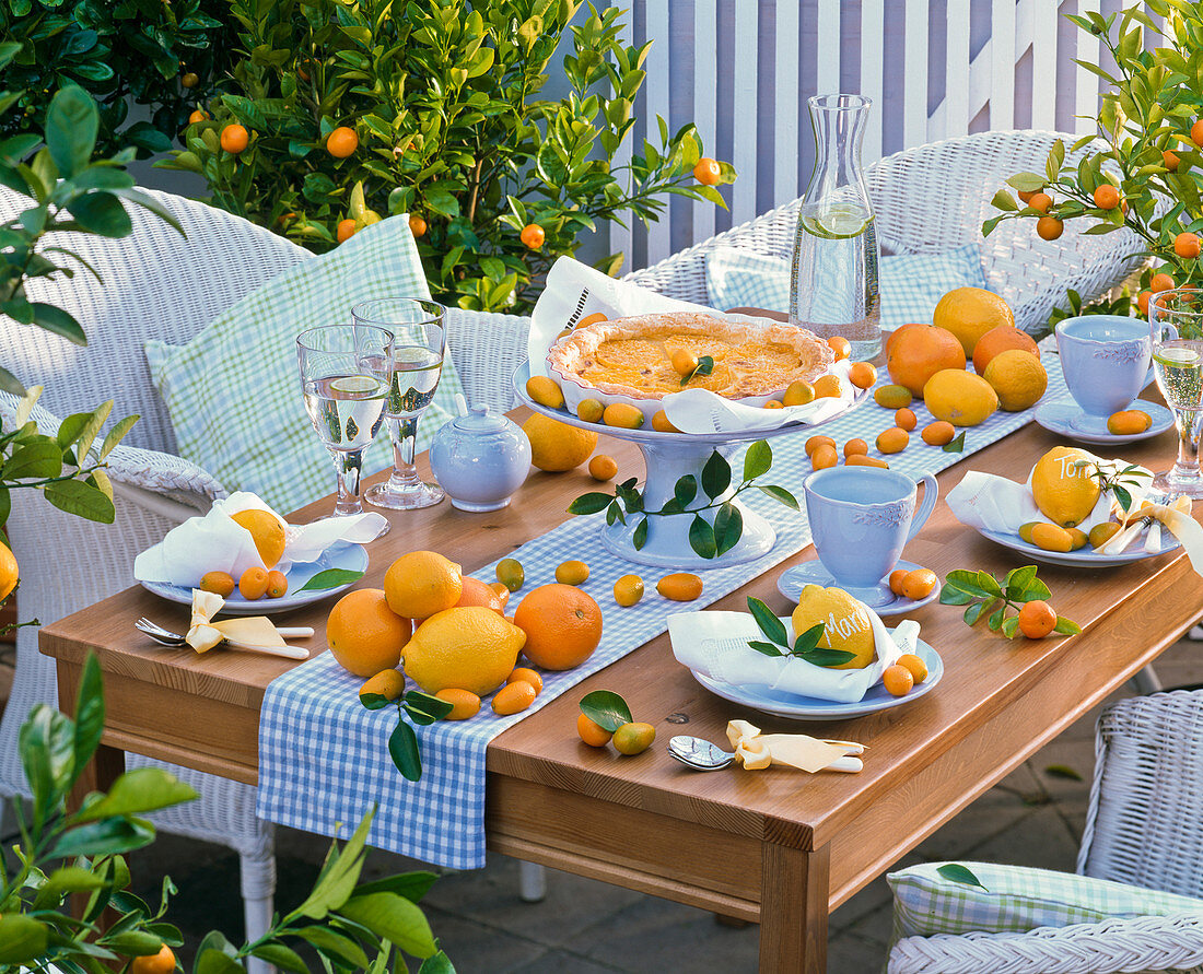 Tischdekoration mit Citrus (Zitronen, Grapefruit , Kumquat), Tischläufer