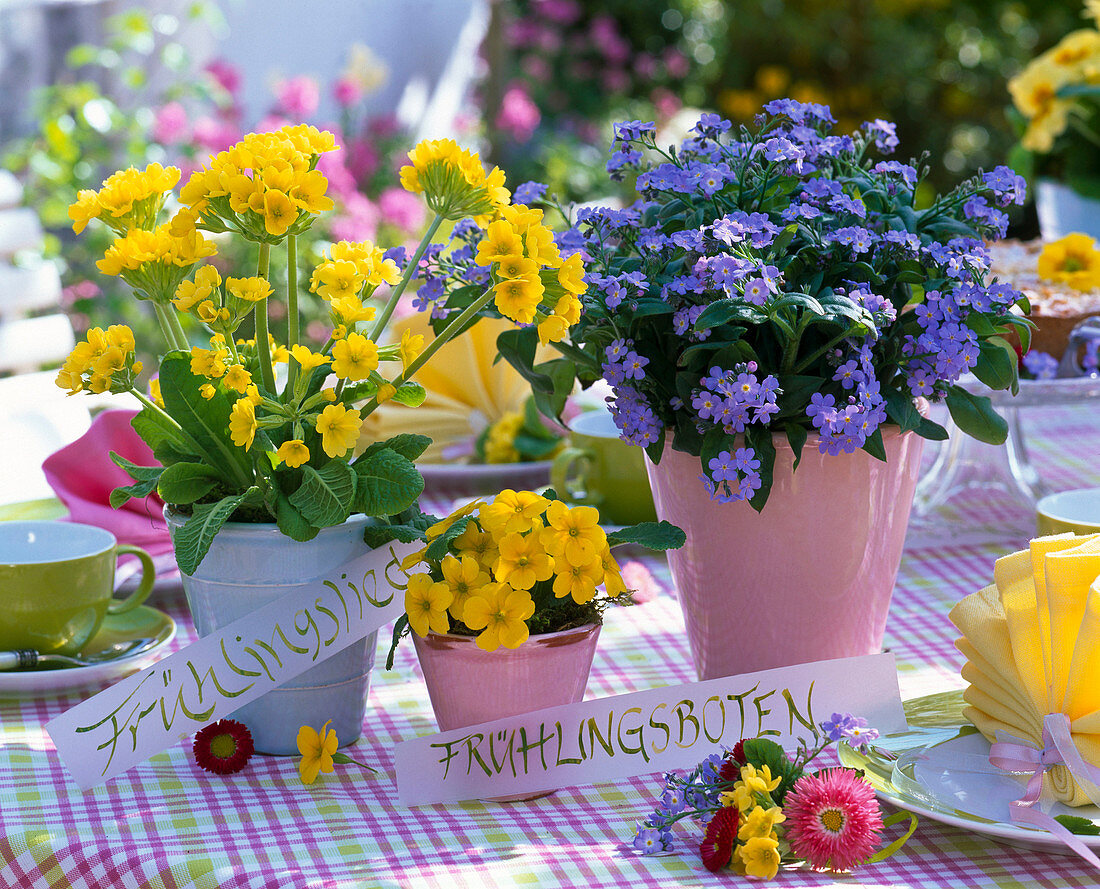 Colourful spring table decoration