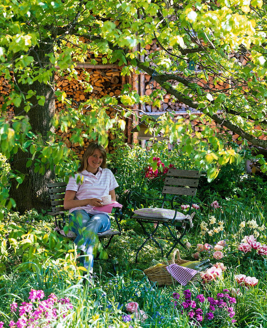 Shady seating under big tree