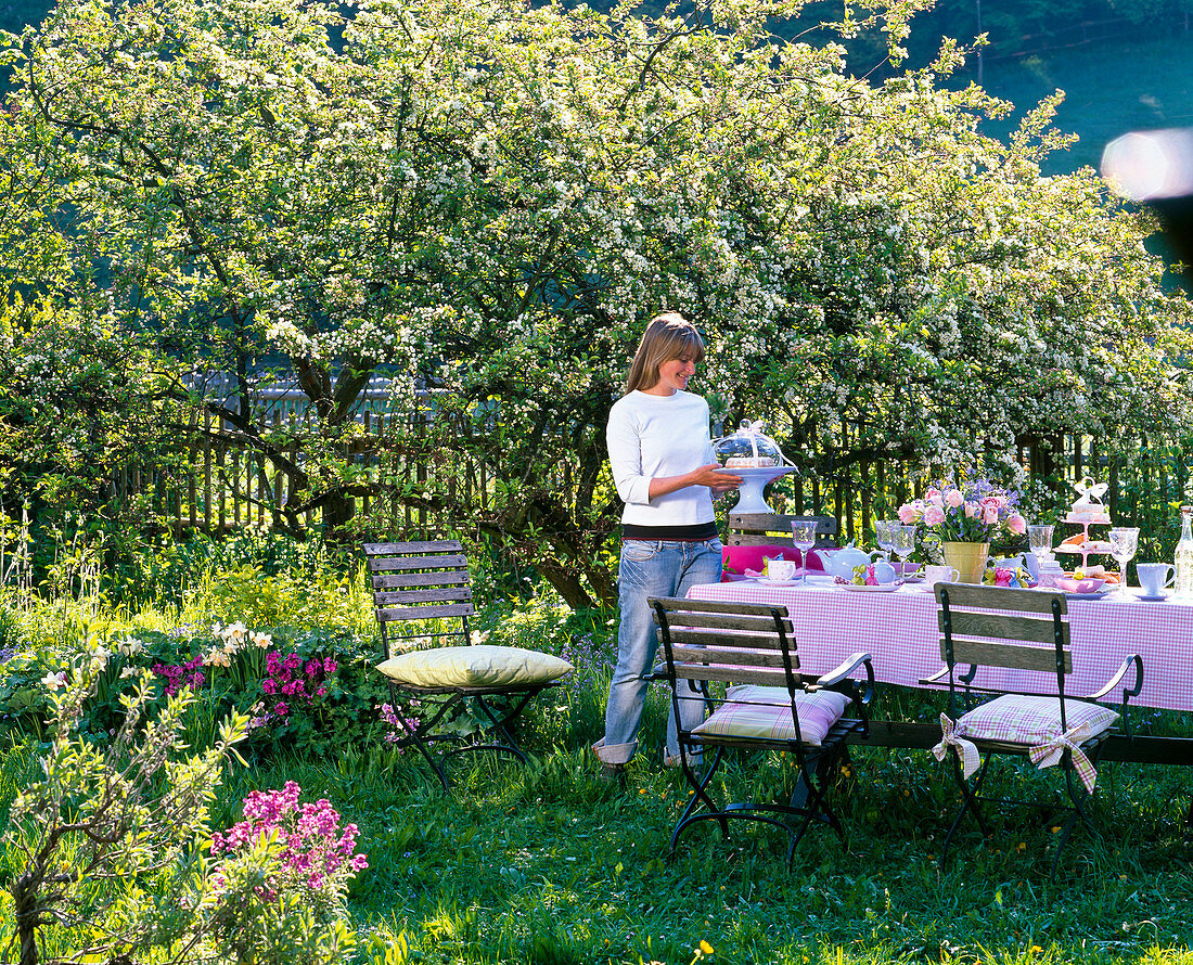 Gedeckter Tisch vor blühendem Malus (Apfelbaum)