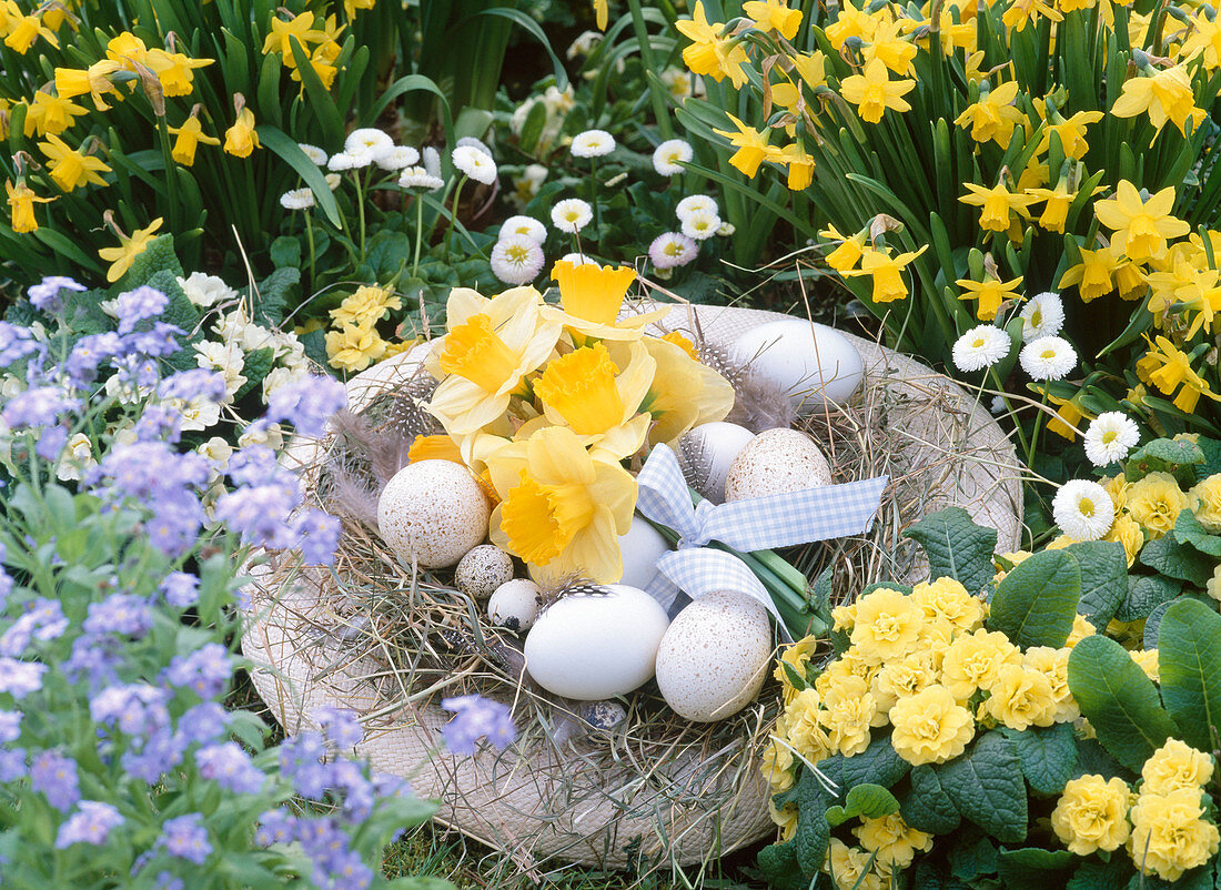 Strohhut als Osternest mit Ostereiern und Strauß aus Narcissus