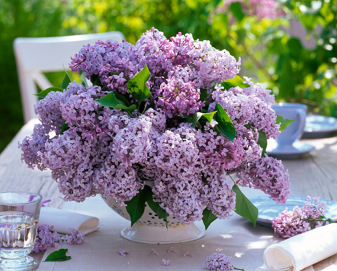 Gesteck aus Syringa (Flieder) in Küchensieb