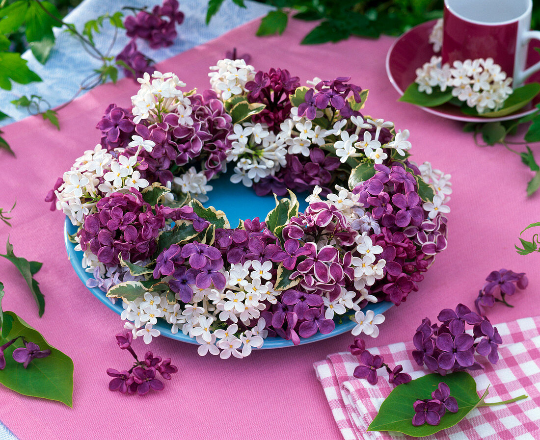 Kranz aus verschiedenen Syringa (Flieder) und Pittosporum (Klebsame)