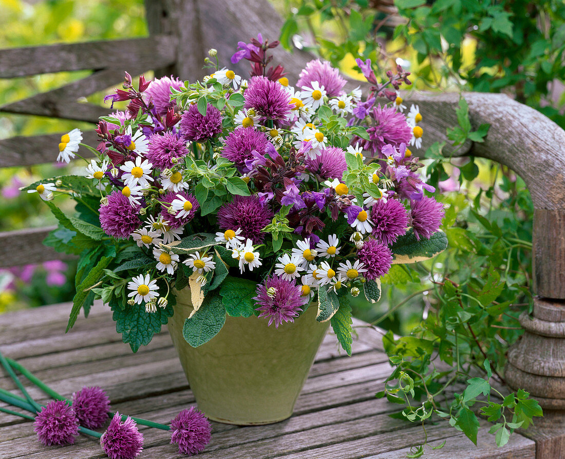 Bouquet of Allium, Chamomilla, Salvia