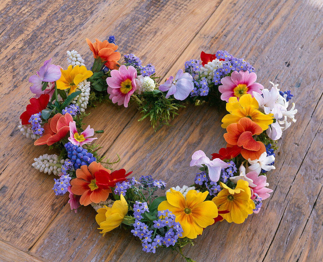 Heart shaped wreath with Primula, Myosotis