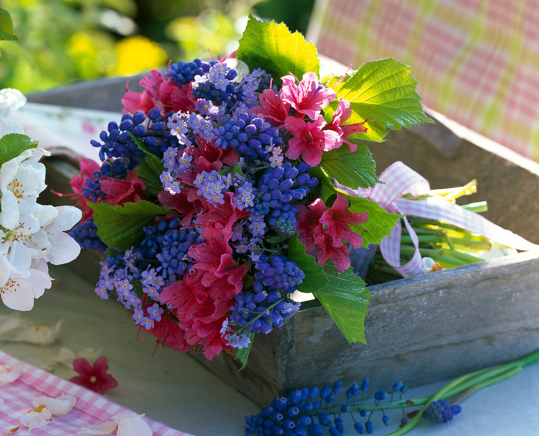 Bouquet of Azalea (garden azalea), Myosotis (forget-me-not), Muscari