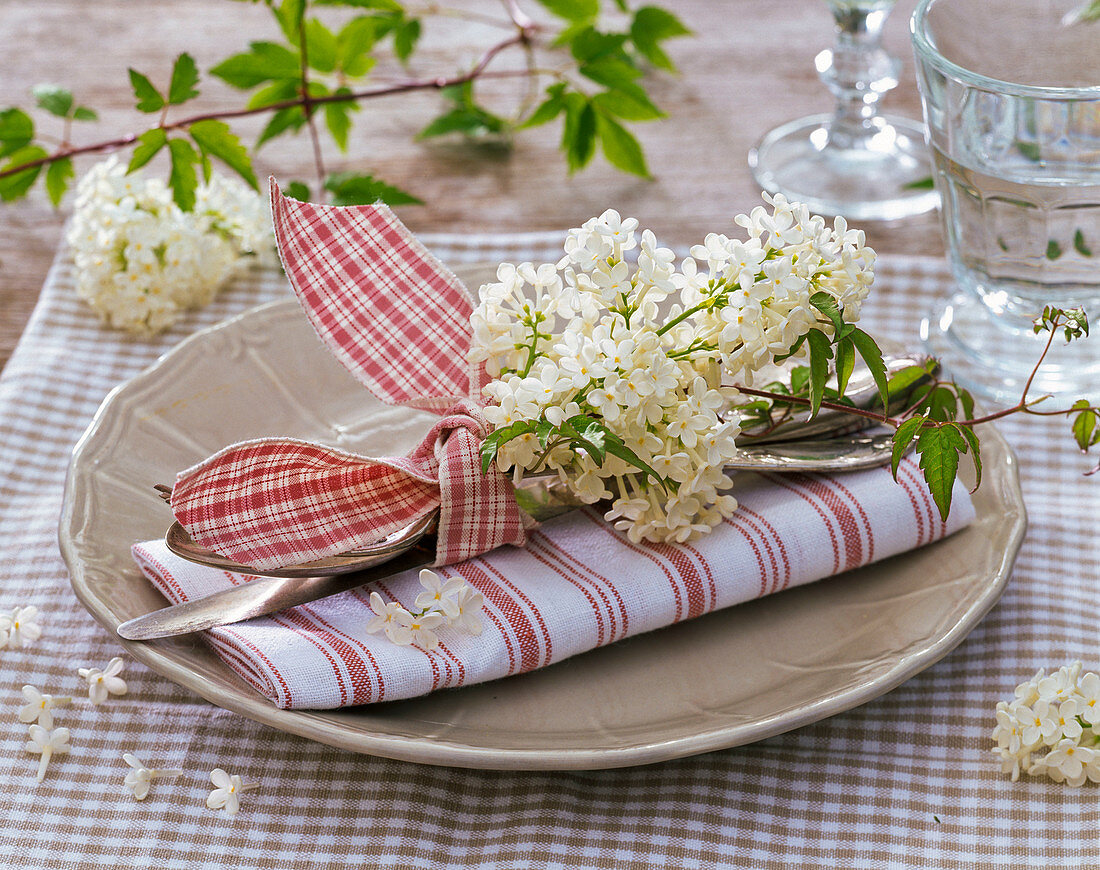 Syringa, umbel on folded red-white napkin, cutlery