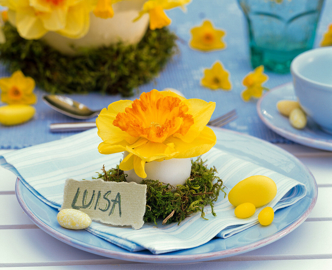 Napkin decoration with narcissus in blown egg on moss