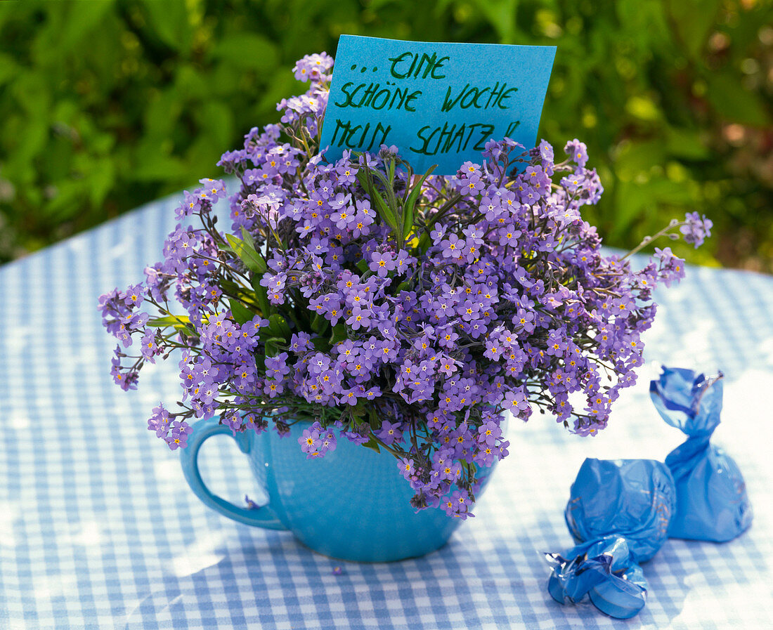 Bouquet of Myosotis (forget-me-not) in cup, sign '...a nice week'.