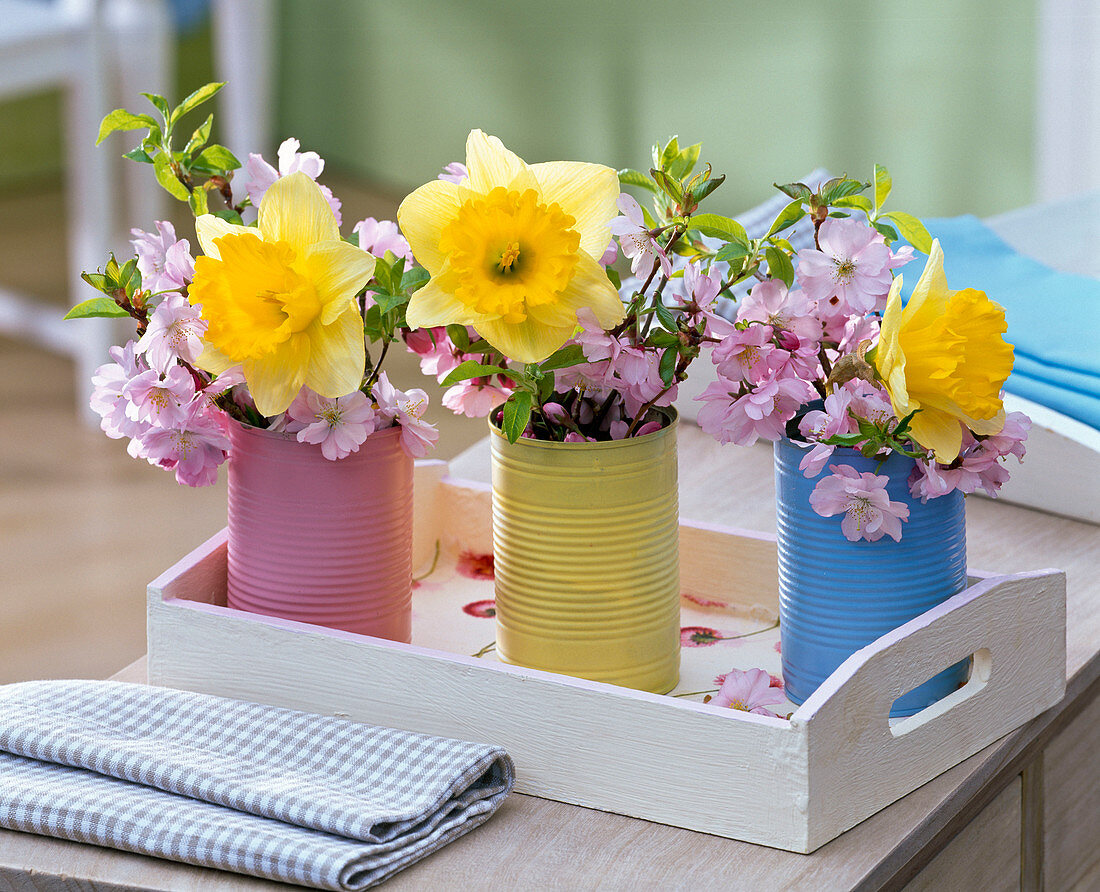 Small bouquets made of Narcissus (narcissus), Prunus (cherry)