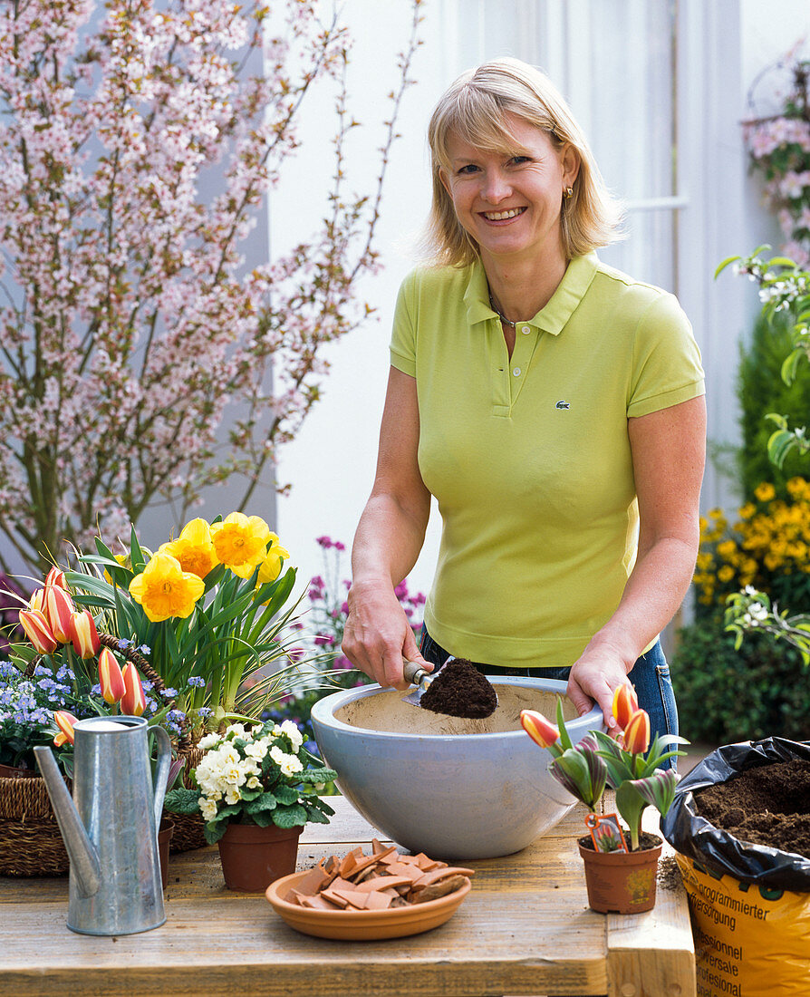 Planting a colourful bowl (1/4)