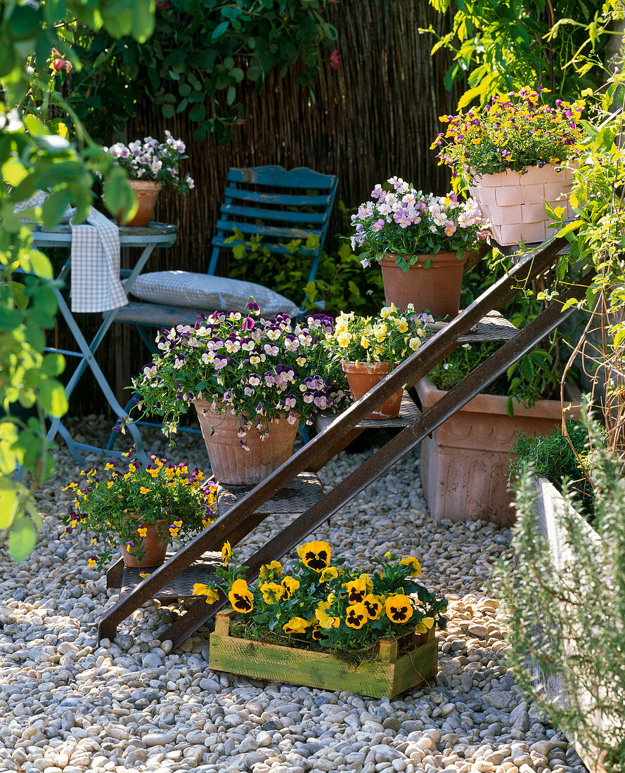 Old iron staircase as a stand for viola cornuta