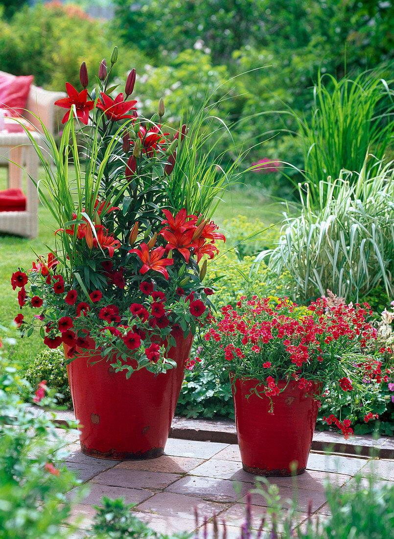 Red arrangement with Lilium 'Gran Paradiso' & 'Crimson Pixie' (Lilies)