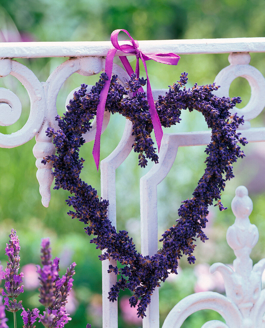Heart made of dried lavandula (lavender) on balcony railing