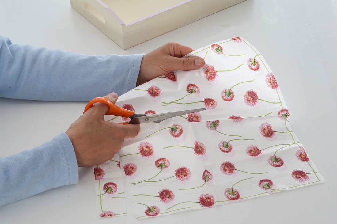 Napkin Technique, bellis tray