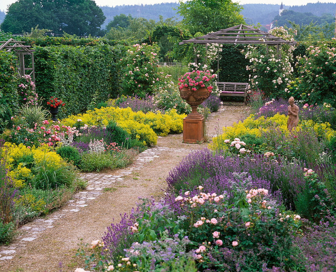 Rose garden with arbour and bench, Lavandula (lavender)