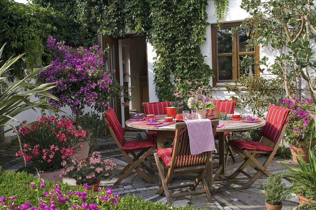 Terrace at the house with wooden seating