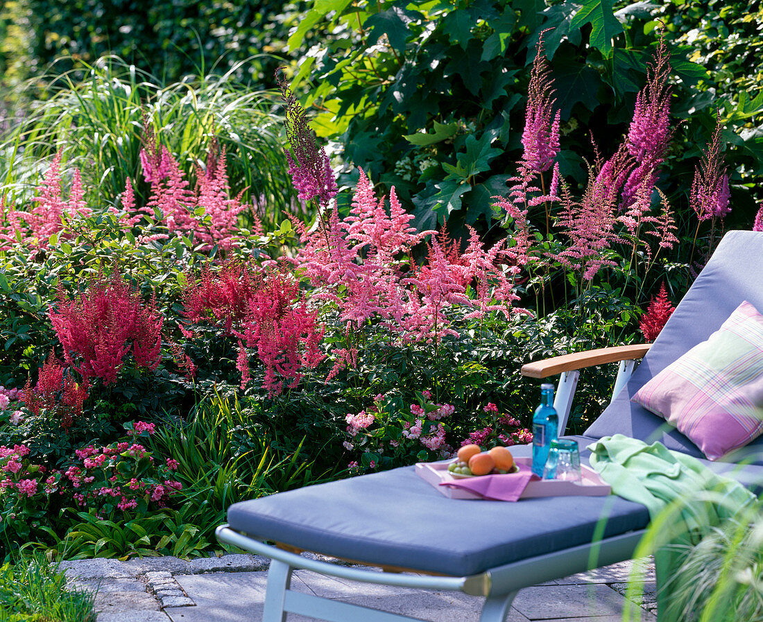 Shade border with Astilbe (Prachtspiere), Begonia Gumdrop