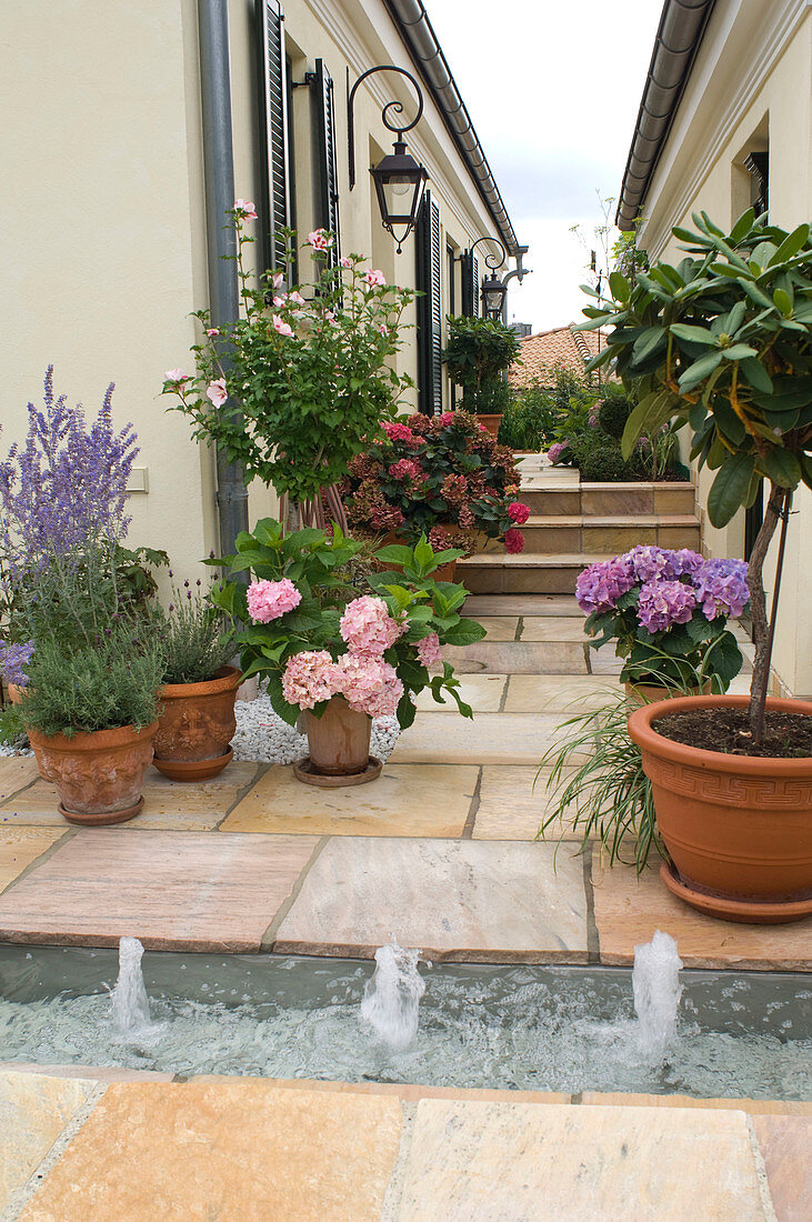 Flagstone path with water feature