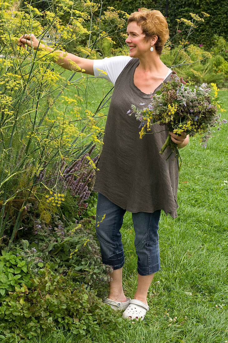 Woman picking foeniculum (fennel flowers) for herb bouquet