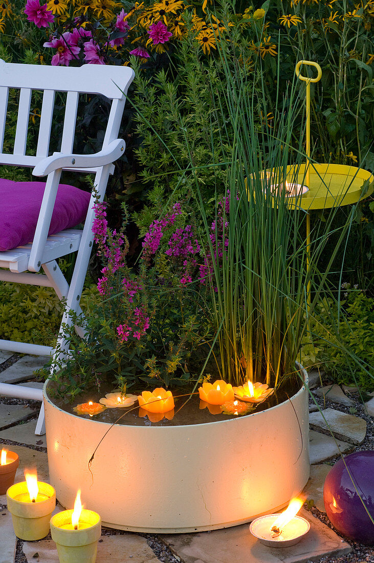 Kübel mit Lythrum (Blutweiderich), Scirpus (Teichsimse) abends mit Kerzen