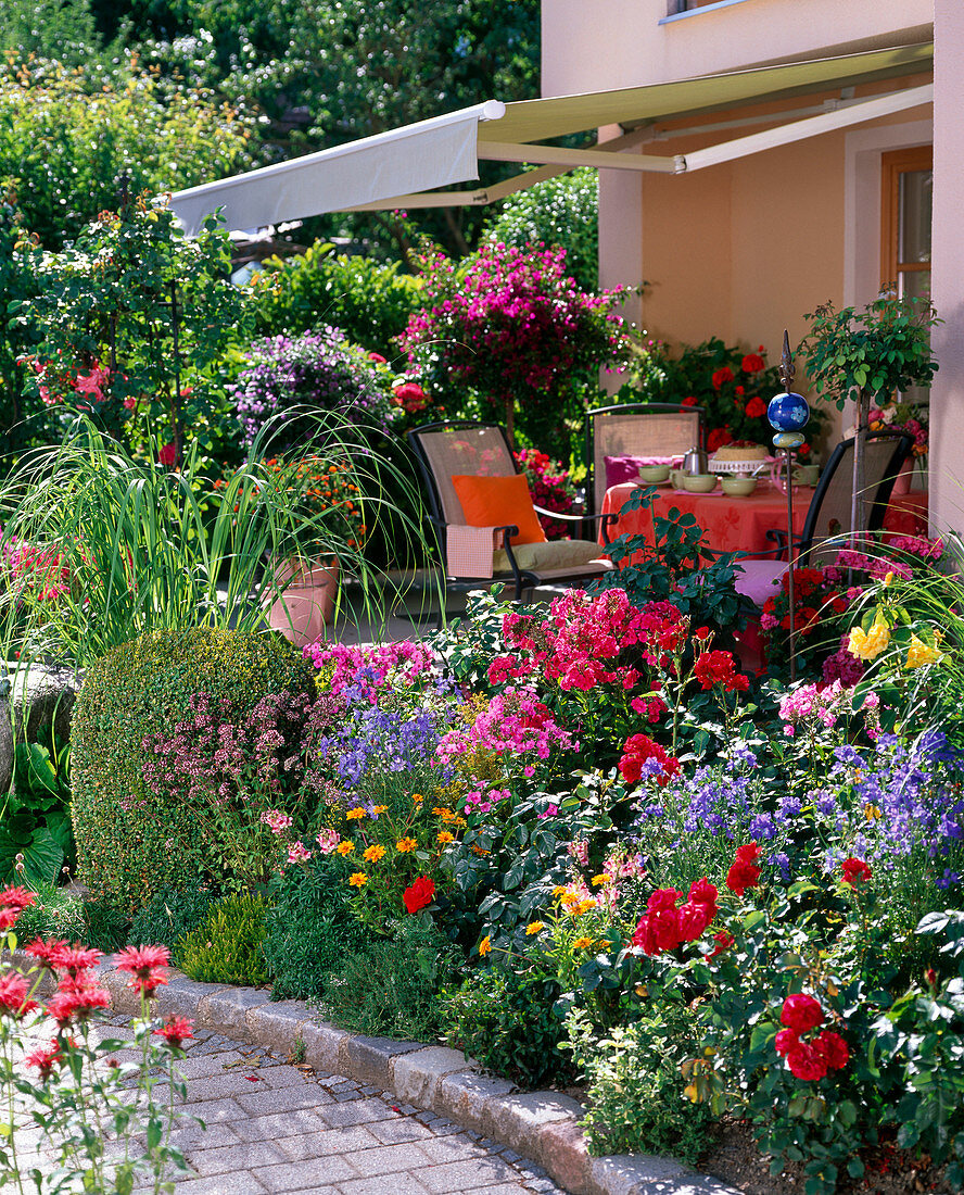 Summer bed with roses, phlox, delphinium