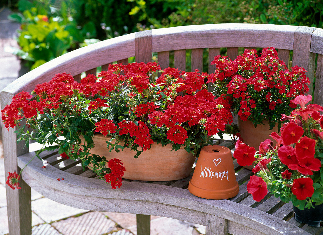 Red arrangement on wooden bench