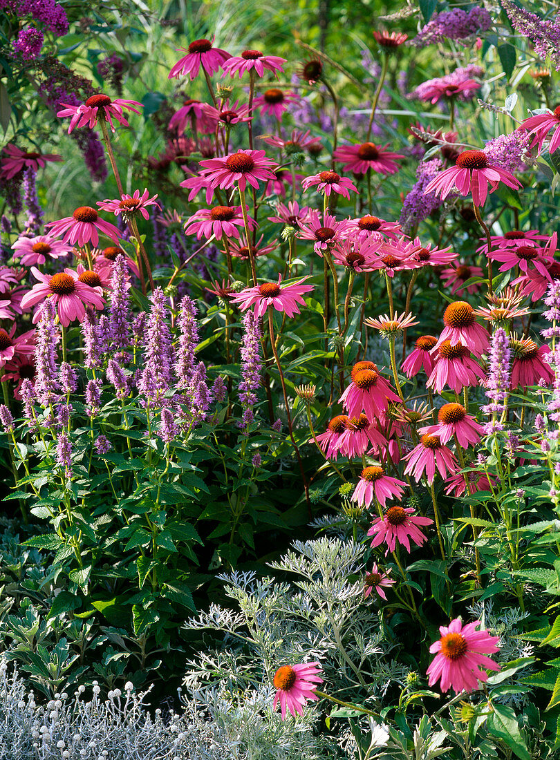 Prairie bed