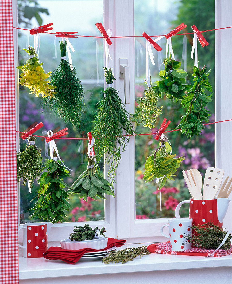 Dry herbs on the window