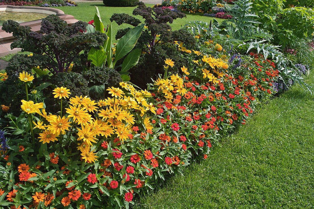 Sommerrabatte mit Blumen und Gemüse