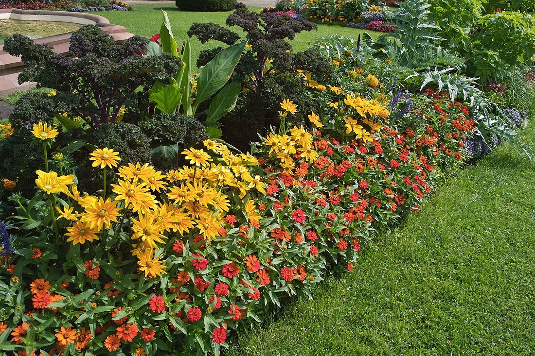 Summer border with flowers and vegetables