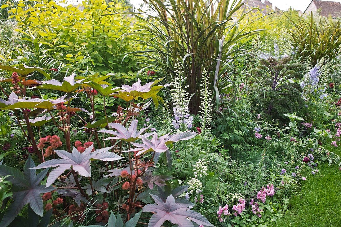 Summer border with flowers and vegetables