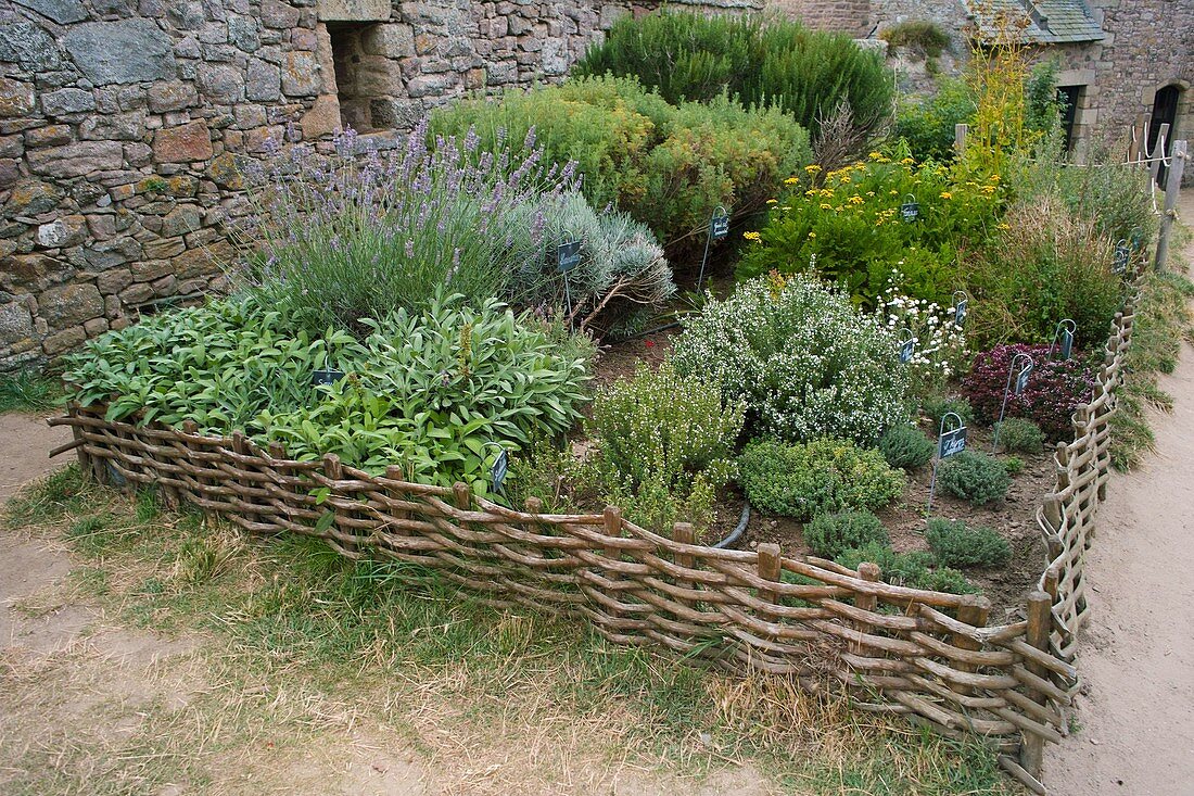 Herb bed with border of woven twigs