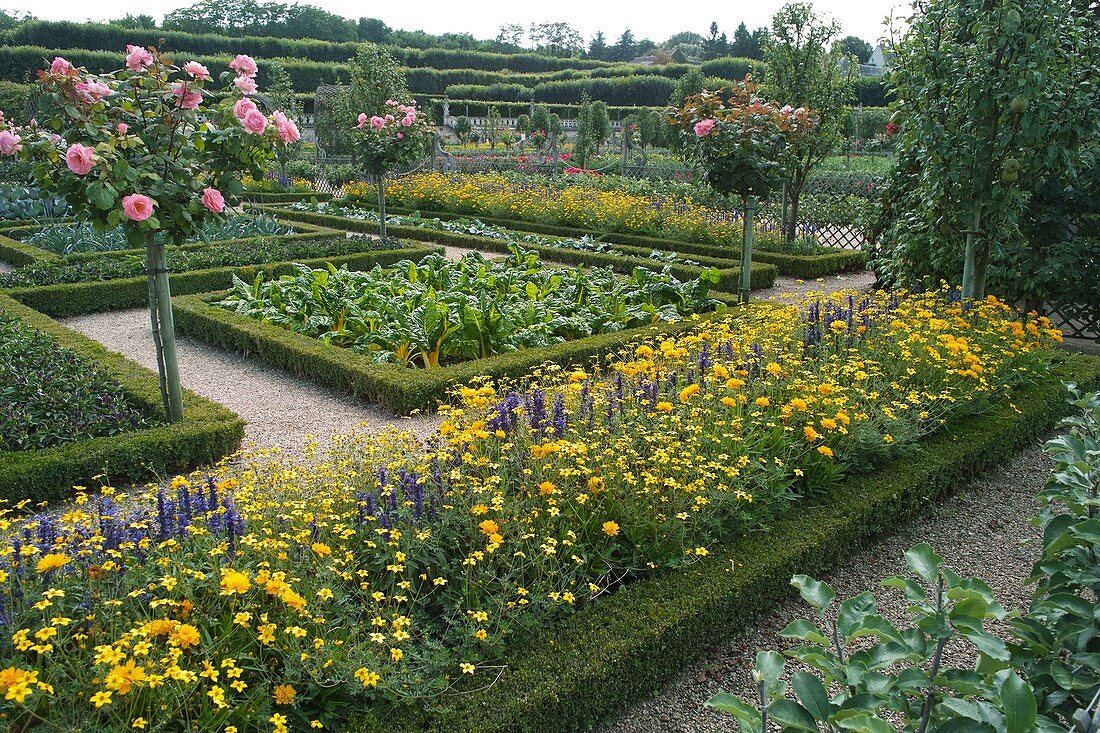 Schloßgarten von Villandry