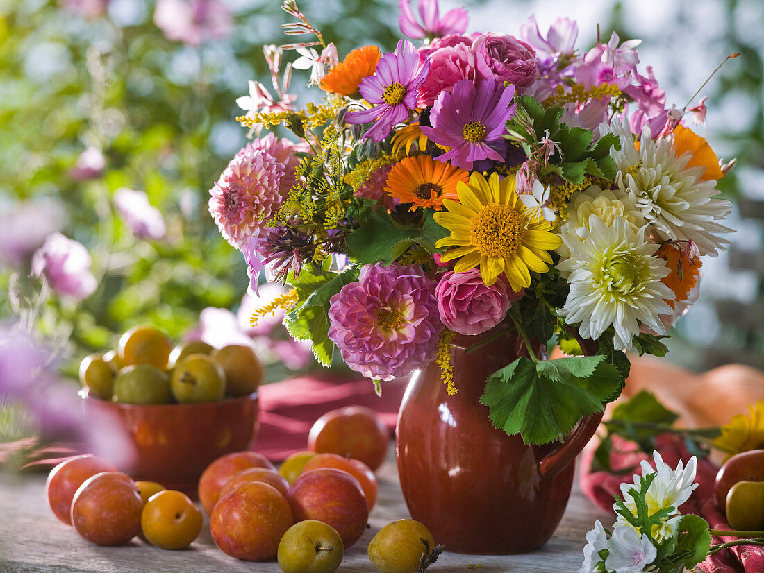 Dahlia (Dahlias), Cosmos (Jewel Basket), Calendula (Marigolds)