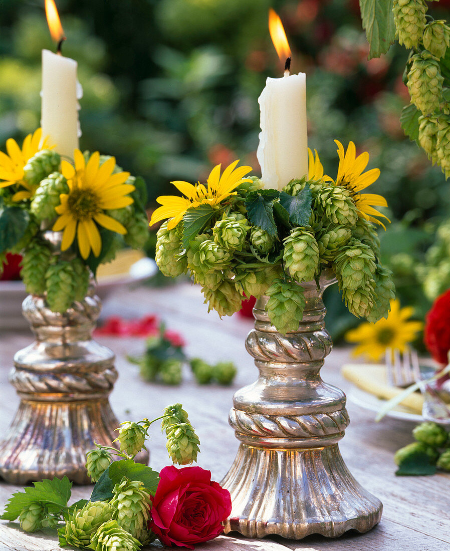 Floristry with hops