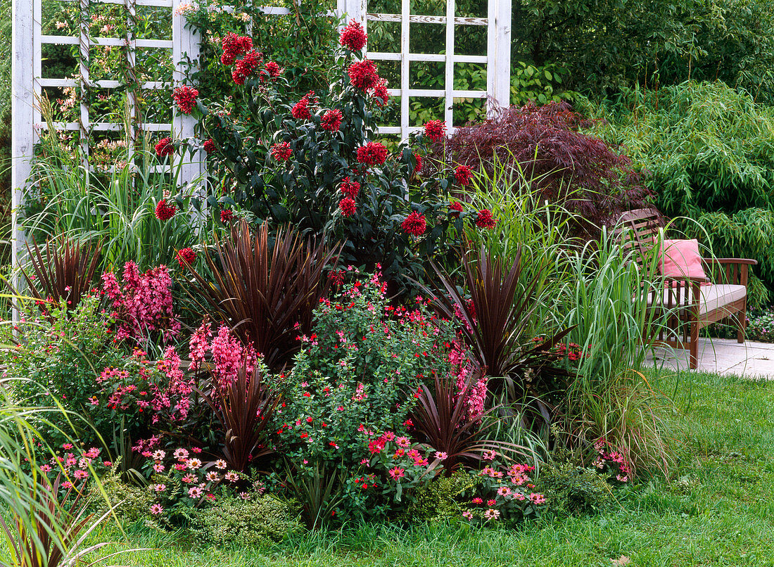 Red bed with tub plants, perennials, grasses and summer flowers