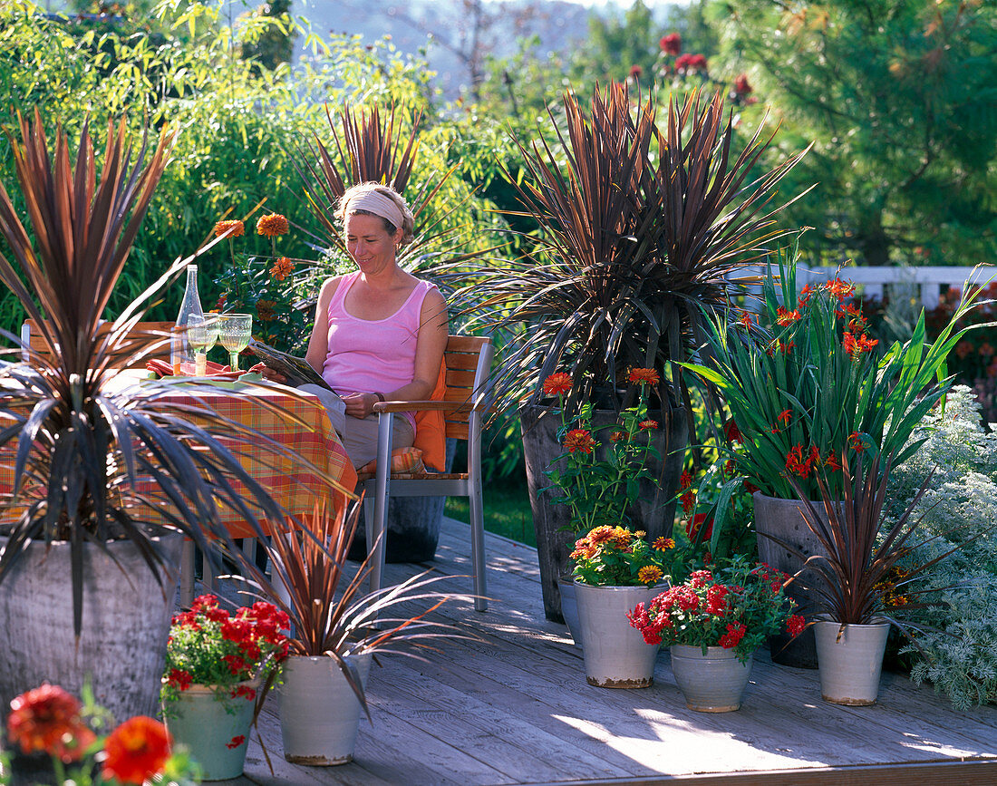 Cordyline australis 'Red Star' (Club lily), Crocosmia