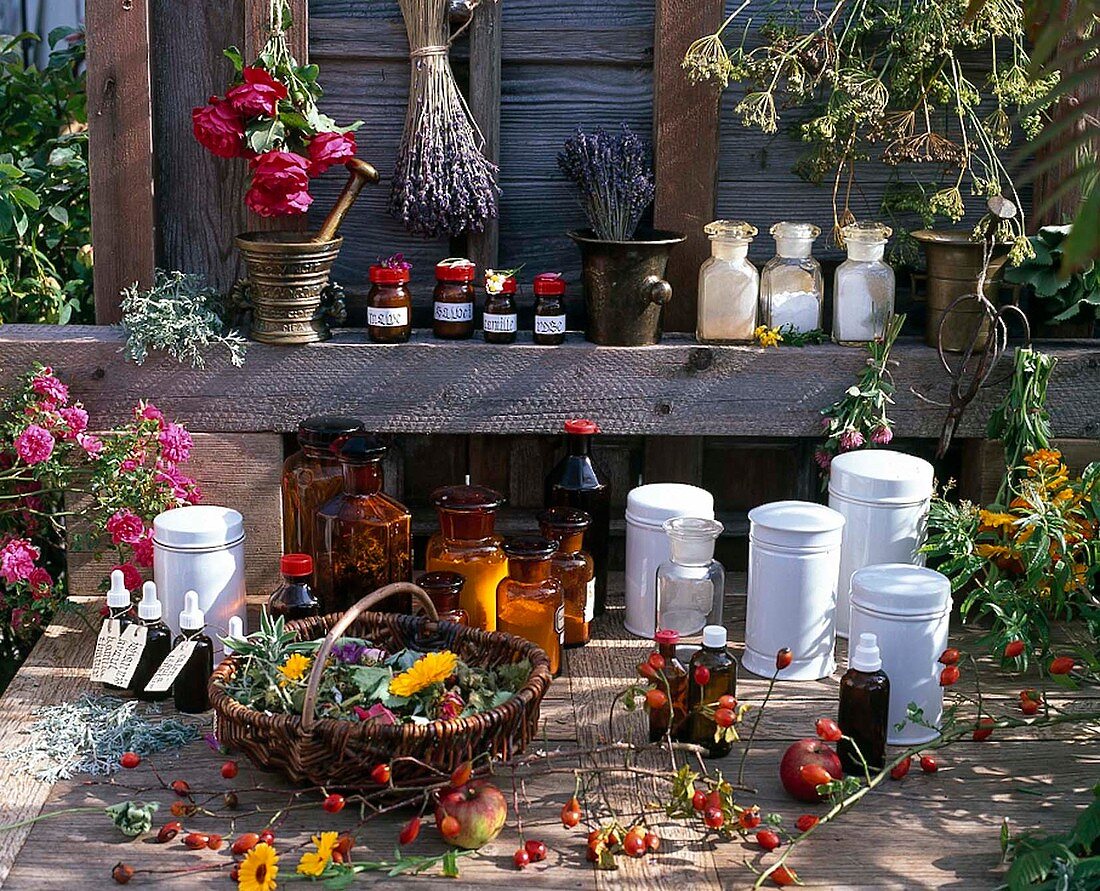 Still life with ingredients for the herbal pharmacy