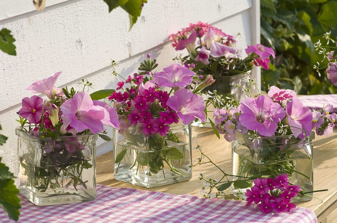 Bouquets made of petunia, verbena, calibrachoa