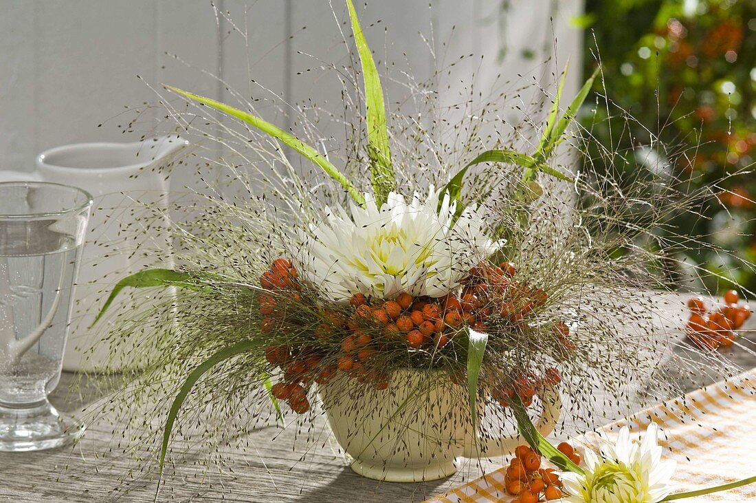 Dahlia (dahlia flower) in a Sorbus cuff