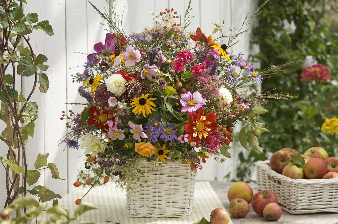 Late summer bouquet of Dahlia (dahlias), Anemone