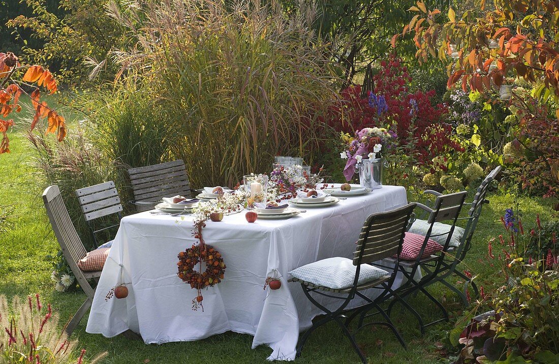 Gedeckter Tisch vor Herbstbeet mit Miscanthus (Chinaschilf)