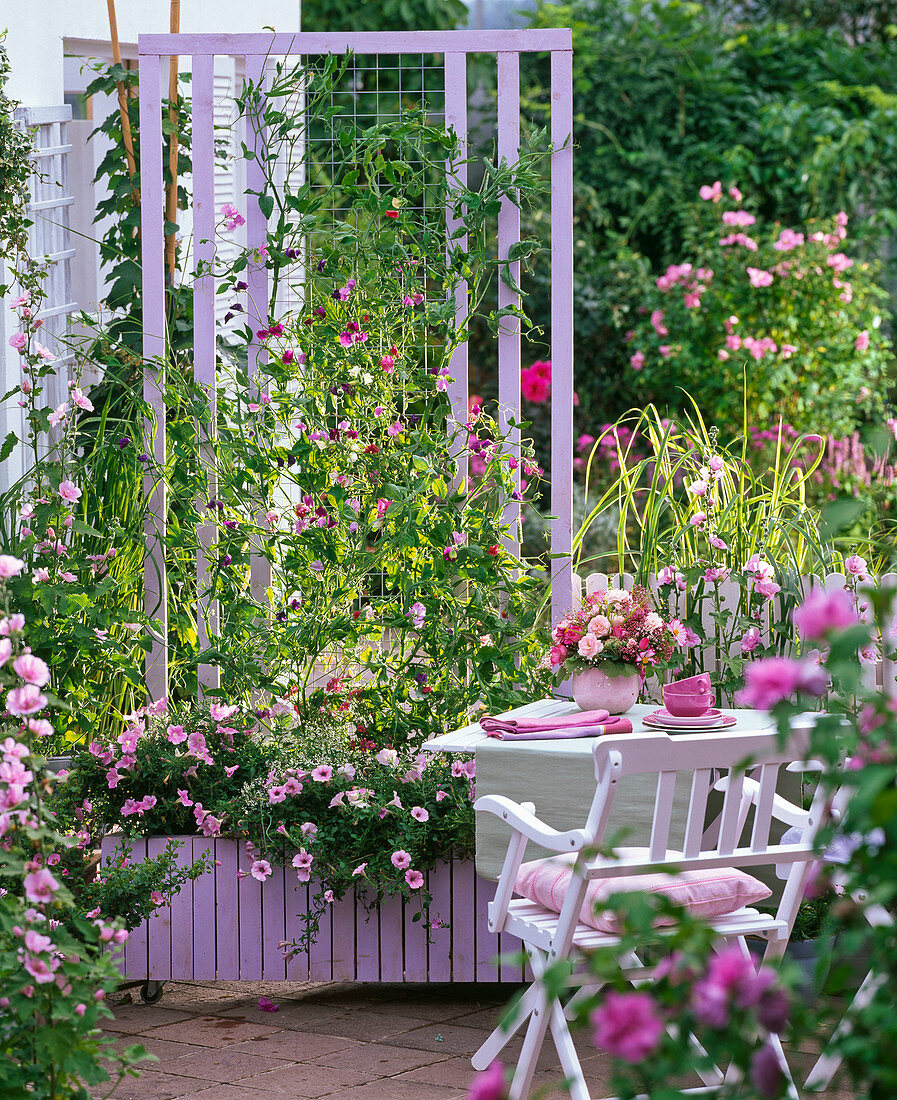 Build box with trellis as privacy screen