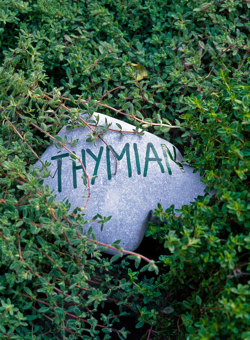 Stones as nameplates for herbs (4/4)