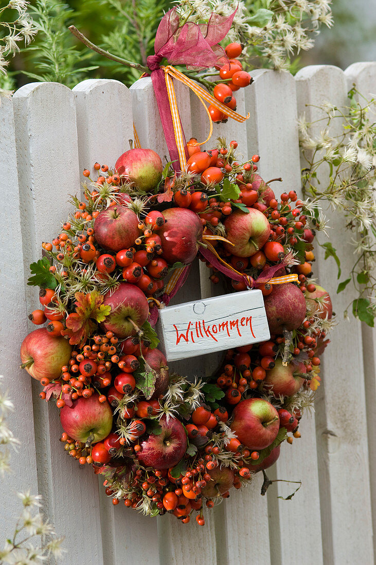 Wreath made of malus (apple), roses (rosehip), clematis vitalba